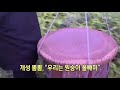 클릭@지구촌 개성 뿜뿜 “우리는 원숭이 올빼미” kbs뉴스 news