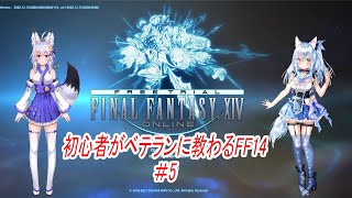 【FF14】狐夫婦、夫が妻に教わりながらすすめるFF14#5【VTuber】