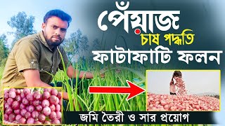 এই পদ্ধতিতে পেঁয়াজ চাষ করুন। অধিক ফলন ঘরে তুলুন।। জমি তৈরি ও সার ব্যবস্থা।।