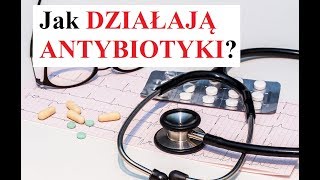 Jak działają ANTYBIOTYKI?