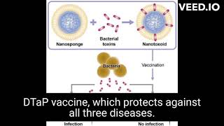 toxoid vaccine and how does it work