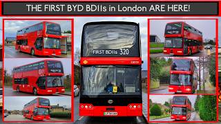 The FIRST *NEW* BYD BD11s In The UK! Route 320's New Allocation EXPLAINED | TfL London Bus Changes