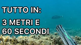 PESCASUB IN 3 METRI E 60 SECONDI