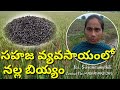 Block rice,kaalabatti, prakruthi vyvasayam in haripuram, farmer Srivanithamythili 👩‍🌾 8919901295