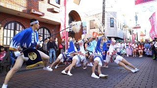 東京葵連 清瀬駅南口・秋のふれあい祭り 2015 阿波踊り