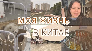 Осталась одна в Китае || Жизнь в Китае