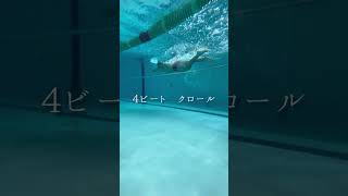 2ビート・4ビート・6ビートクロール #swimming #水泳 #swim