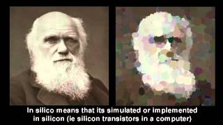 Evolving Darwin - Genetic Algorithm