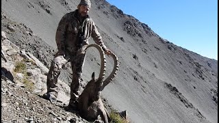 Трофейная охота на козерога. Джунгарский Алатау, Казахстан. Trophy ibex hunting in Kazakhstan, 2020.