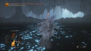 ダークソウル3 DLC 2 THE RINGED CITY 隠しボスの隠し扉～ボス部屋　darksouls3 Secret Boss