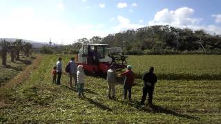 そば収穫風景―刈取りしました！！