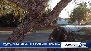 Cape Coral woman speaks out after arrest for hitting tree in TJ Maxx parking lot; charges dropped