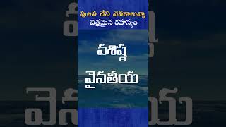 పులస చేప వెనకాలున్నా చిత్రమైన రహస్యం #pulasa #demand #godavari #interestingfacts #facts