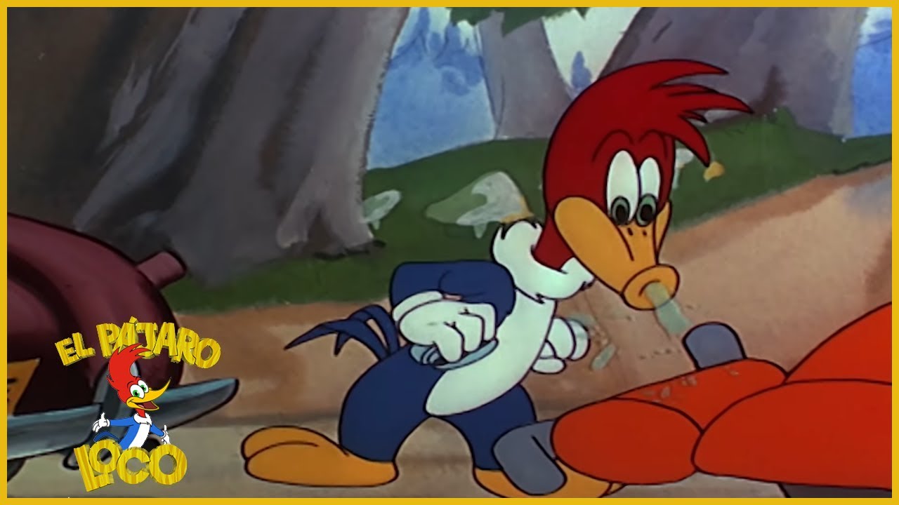El Pájaro Loco Episodio Completo Bien Engrasado Dibujos Animados