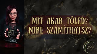 🩷MIT AKAR TŐLED? 🩷MIRE SZÁMÍTHATSZ VELE KAPCSOLATBAN?🩷 AZ INGA IS VÁLASZOL 🩷🌙Szerelmi Hold Tarot🌙