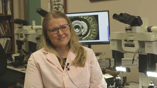 Inside the Crime Lab: Firearms