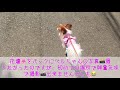 【パピヨンのベルちゃん】癒される場所（？）へ連れて行ってみた✨