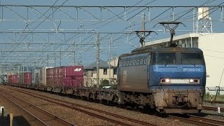 5052レ　EF200-14(代走)牽引貨物列車　舞阪駅通過