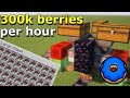 Best Sweet berry farm on Donut SMP (300,000 Berries/hour)