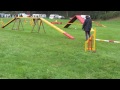 juice fantastic agility run honiton sunday