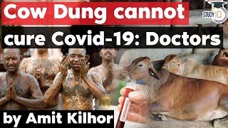 Covid 19 Treatment - Cow Dung cannot cure Covid 19 informs Indian doctors