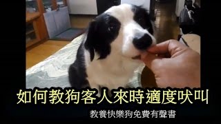 教狗客人來時適度吠叫