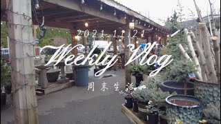 逛圣诞装饰，扫院子和在海边吃炸鸡的周末 ｜ weekend vlog