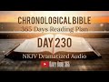 day 230 one year chronological daily bible reading plan nkjv dramatized audio version aug 18