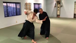 Aikido: Helpful Hints on Tai-no-Henko (Gedan, Chudan, \u0026 Jodan)