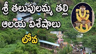 శ్రీ తలుపులమ్మ తల్లి ఆలయ విశేషాలు | History \u0026 Significance Of Talupulamma Thalli - Lova