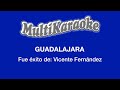 Guadalajara - Multikaraoke - Fue Éxito de Vicente Fernández