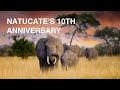 Natucate's 10th anniversary🎉🌿