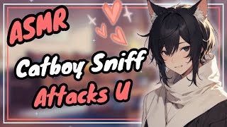 [ASMR] Catboy Sniffs U To Sleep RP ❤️❤️ | Gentle Whispers (Sleep Aid + Relaxation)