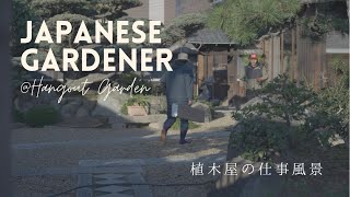 植木屋の仕事風景 Japanese gardener