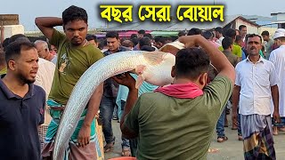 পদ্মায় পাওয়া গেল বিশাল বড় বোয়াল মাছ নিলামে কত টাকায় বিক্রি হয় দেখুন | biggest fishmarket dhaka dohar