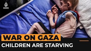 Videos of malnourished children show Gaza’s forced starvation crisis | Al Jazeera Newsfeed