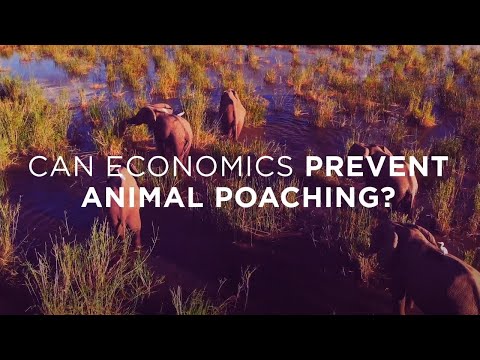 How is poaching bad for the economy?