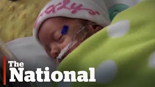 Saskatchewan hospital offers live stream of neonatal intensive care unit babies