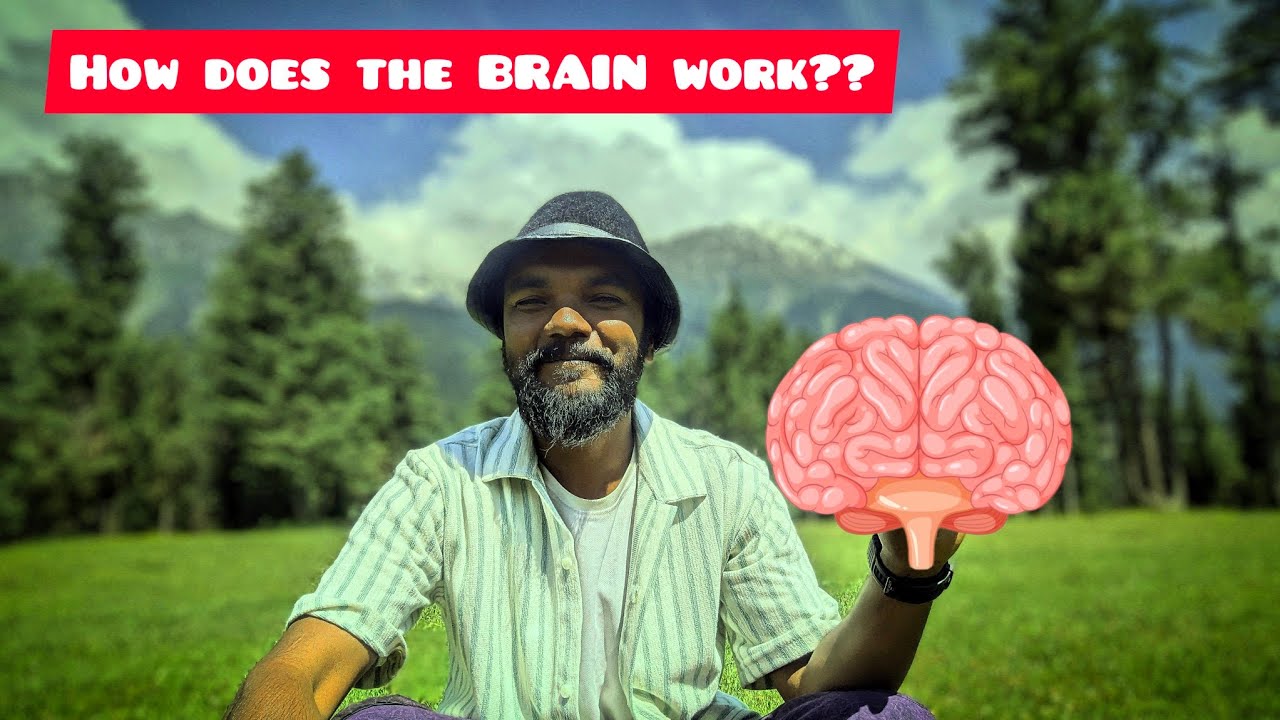 Brain Hack ёядн Top Tips Tricks ёядп Youtube