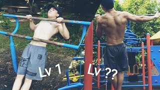 Pull Up Level 1 to 100?