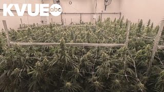 Medical cannabis distributor opens new headquarters in Bastrop County