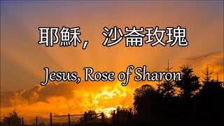 青年聖歌I-146 | 耶穌，沙崙玫瑰 | Jesus, Rose of Sharon