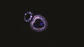 TSUKIYOMI - LETTER TO MY EX VISUAL