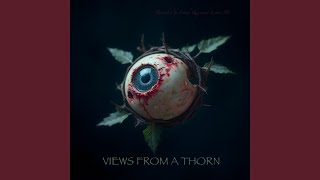More Than Meets The Eye