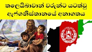 Afghanistan Taliban New in Sinhala | War Attack |Taliban New Video 2021 | New Situation | Kabul