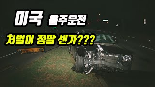 미국의 음주 운전 처벌은 어느 정도 인가??  정말로 강력한 경찰국가의 모습을 보인다.