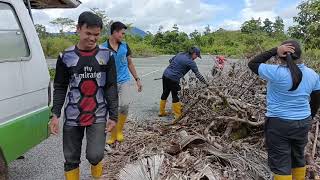 Team Mencari Buah Buan Untuk Makanan Haiwan Sekali Mengambil Kayu Untuk Bakar