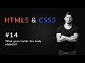 What goes inside the body element?  | Introduction to HTML5 and CSS3 | HTML5 and CSS3 in 2020