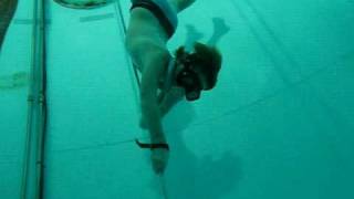 Max dives the SETT tank