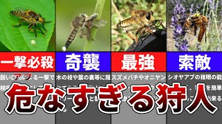 【ゆっくり】ゾルディック家すぎる最強のシオヤアブ